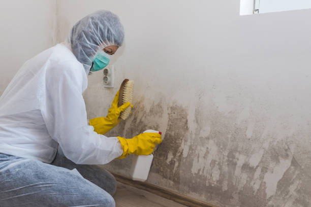 Best Biohazard Mold Removal  in Surf City, NJ