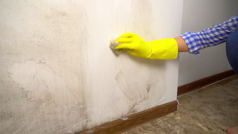 Best HVAC Mold Inspection and Cleaning  in Surf City, NJ